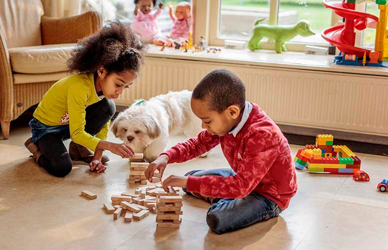 Mascotas y bebés: ¿cómo asegurar una convivencia saludable y armoniosa?