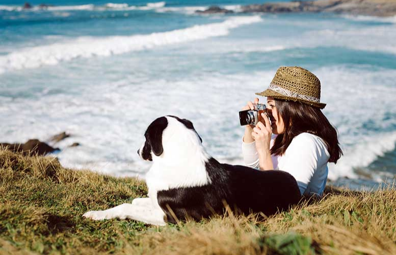 ¿Qué debes hacer para viajar seguro con tu mascota?