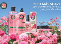 ¿Cabello reseco por verano?: descubre estos 4 hábitos que le devolverán el brillo y movimiento